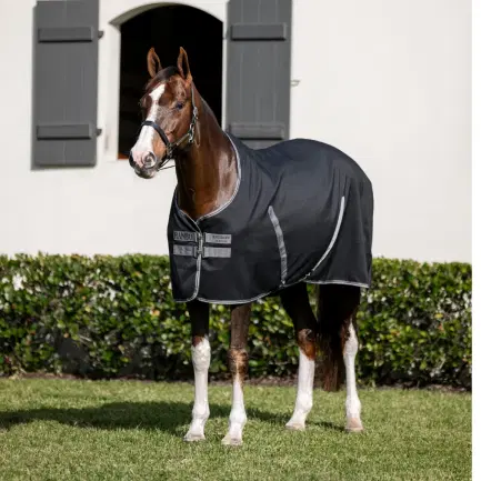 Rambo Stable sheet deken