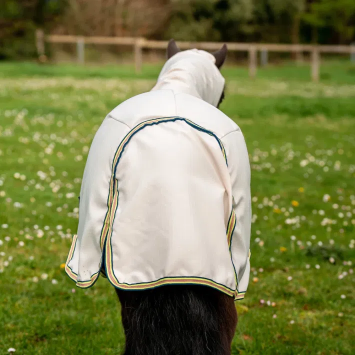 Horseware Amigo Ripstop Petite Hoody