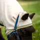 Horseware Amigo Ripstop Petite Hoody