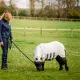 Horseware Amigo Ripstop Petite Hoody