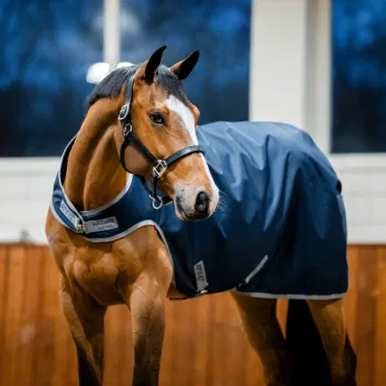Amigo Ripstop 900D Walker Rug 100 gram
