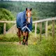 Horseware Amigo 1200D Plus Turnout winterdeken 400 gram