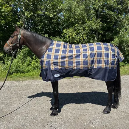 Blauw/bruin ruit