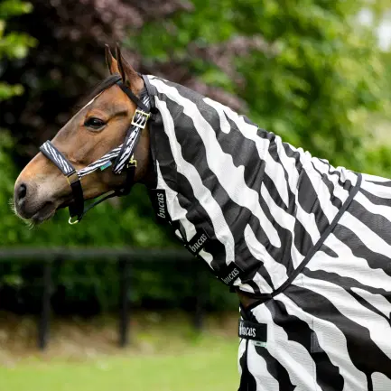 Bucas Buzz-Off Zebra & Neck insectendeken