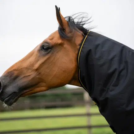 Bucas Irish Turnout losse hals 0 gram
