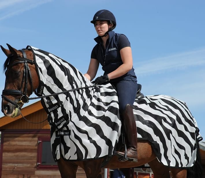 Bucas Buzz-Off Riding Zebra