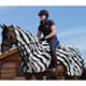 Bucas Buzz-Off Riding Zebra