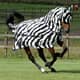 Bucas Buzz-Off Full Neck Zebra