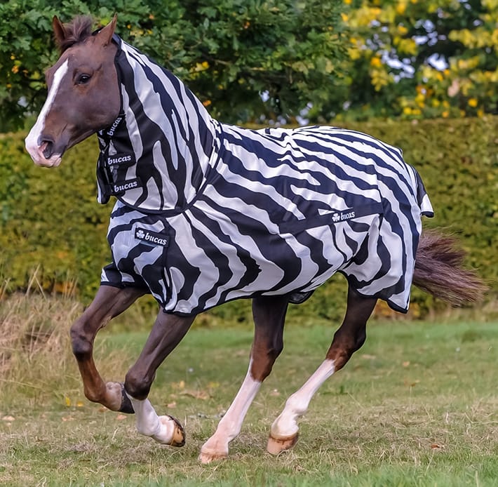 Bucas Buzz-Off Full Neck Zebra