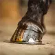 Carr & Day & Martin Tea Tree Hoof Oil