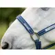 Horseware Signature Field Safe Halster