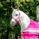 Witney Pink