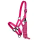Witney Pink