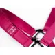 Witney Pink