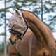 Horseware Amigo fly mask insectenmasker