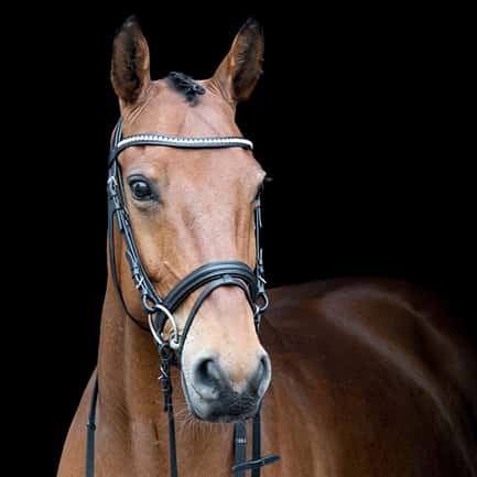 AB hoofdstel Diamond