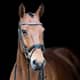 AB hoofdstel Diamond