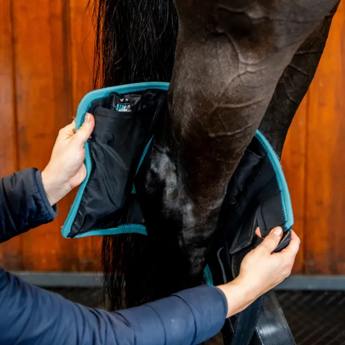 Horseware Ice-Vibe Cold Packs Hock (Sprong)