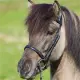 Eques V-hoofdband met Moon Rock