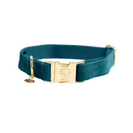 Kentucky hundehalsbånd Velvet