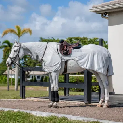 Horseware Flyrider insect rijdeken