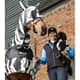 Bucas Buzz-Off Zebra fly mask