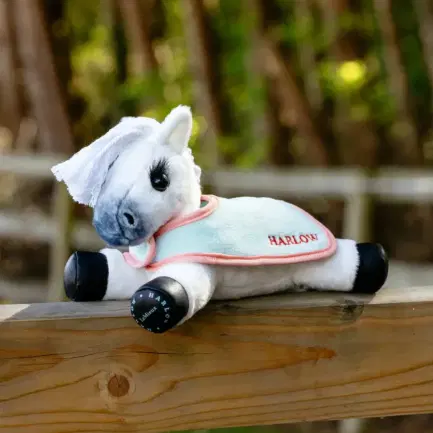 LeMieux Harlow Tiny deken 2 pack