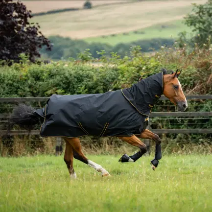 Bucas Irish Turnout+neck 50 gram regendeken