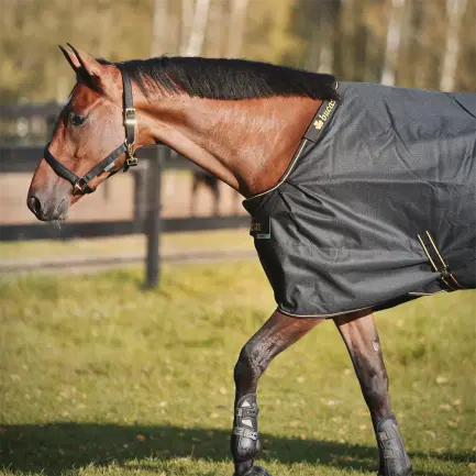 Bucas Irish Turnout+neck 50 gram regendeken