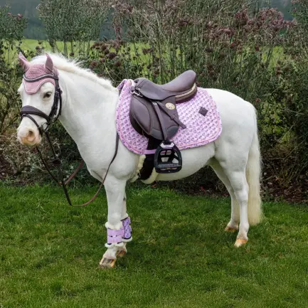 Kentucky dressuurbeenbeschermers Sammy Collection