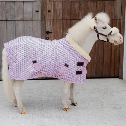 Kentucky Show deken Sammy