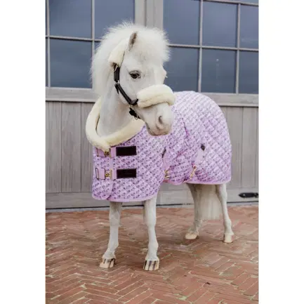 Kentucky Show deken Sammy
