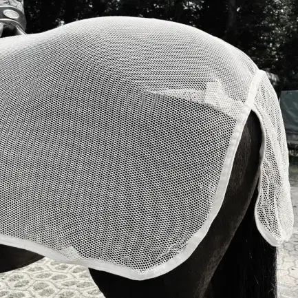 L\'Evoine insect rijdeken Foliage