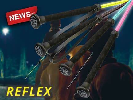 Fleck reflex zweep