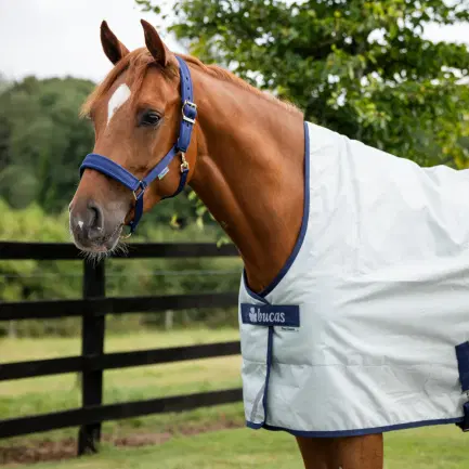 Bucas Power Turnout High Neck