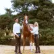 Dy\'on Long Chaps 