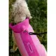 Witney Pink