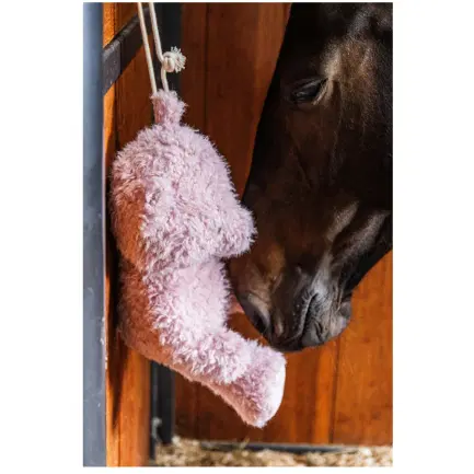 Kentucky Relax Horse Toy Bear