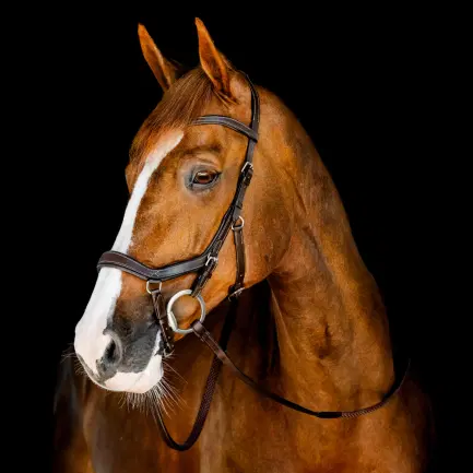 Horseware Micklem CompetitionTrense Nieuw