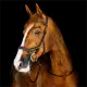Horseware Micklem CompetitionTrense Nieuw