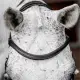 Horseware Micklem CompetitionTrense Nieuw