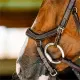 Horseware Micklem CompetitionTrense Nieuw