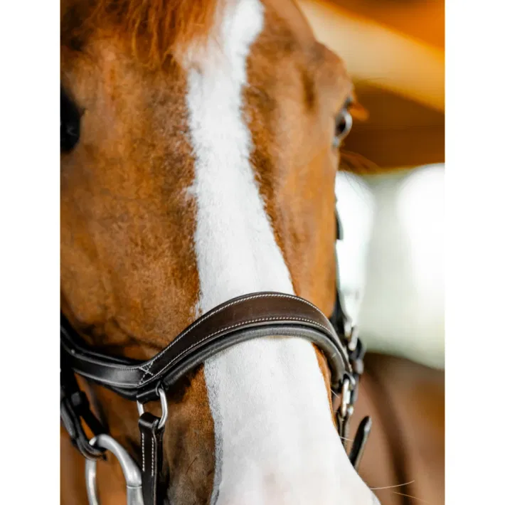 Horseware Micklem CompetitionTrense Nieuw