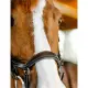 Horseware Micklem CompetitionTrense Nieuw