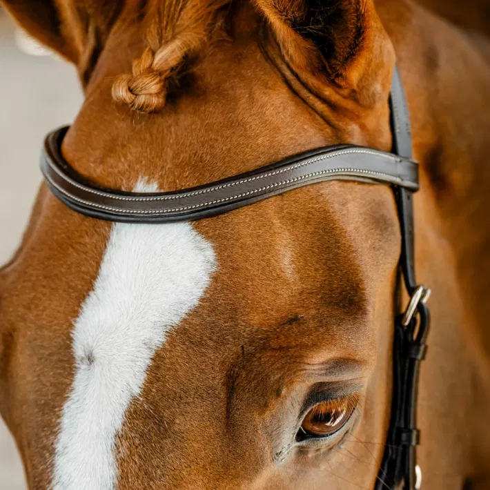 Horseware Micklem CompetitionTrense Nieuw