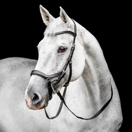 Horseware Micklem CompetitionTrense Nieuw