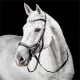 Horseware Micklem CompetitionTrense Nieuw