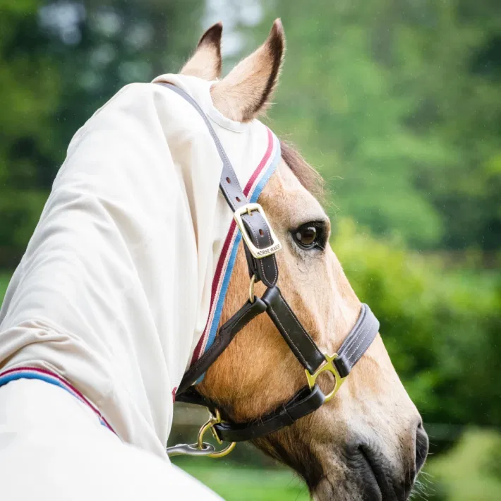 Rambo Hoody Pony Eczeemdeken