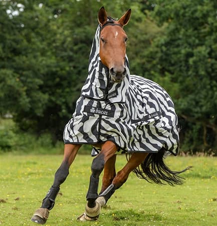 Bucas Sweet Itch Zebra Eczeemdeken