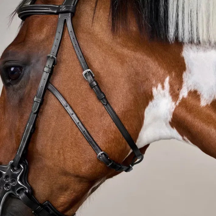 Dyon Hackamore trense US Collection